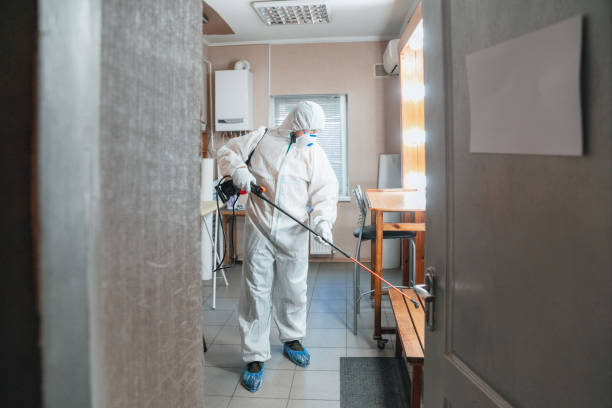 Best Mold Removal for HVAC Installations  in Severna Park, MD